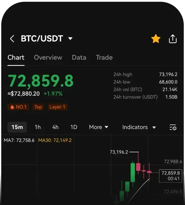 Trading Chart Preview